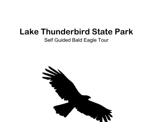 Self-Guided Bald Eagle Tour Packet